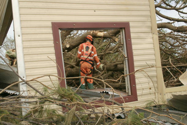 Best Storm Damage Tree Cleanup  in , WA